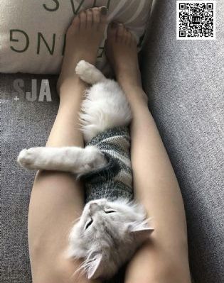 锕锕锕锕锕锕好污网站免费_DVD在线观看